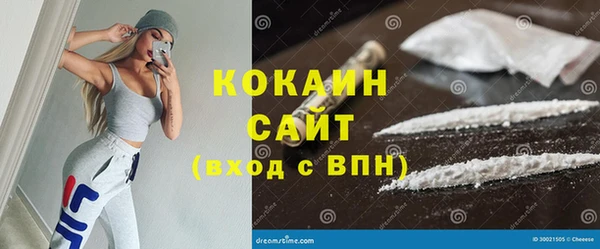 стаф Богданович
