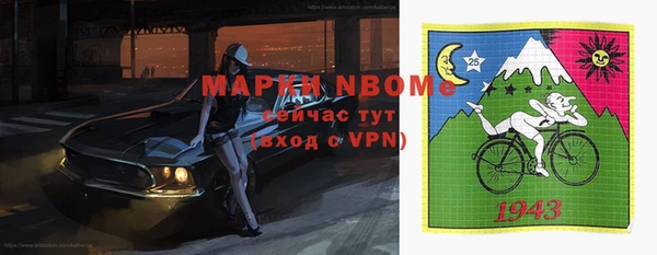 стаф Богданович