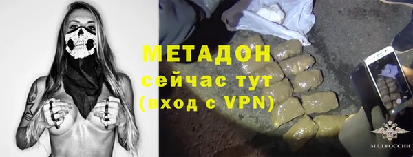 стаф Богданович