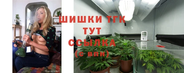 стаф Богданович