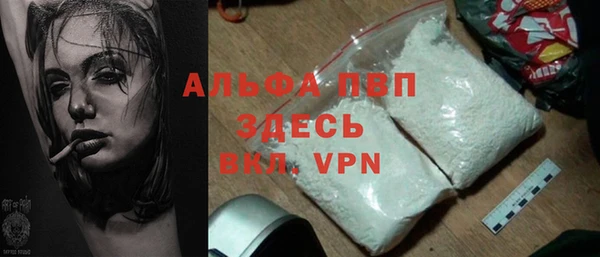 стаф Богданович