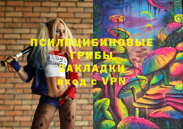 скорость Богородск