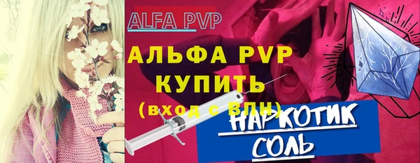 стаф Богданович