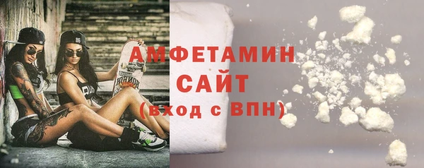 стаф Богданович