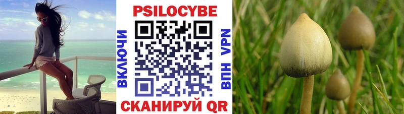 Псилоцибиновые грибы MAGIC MUSHROOMS Кубинка